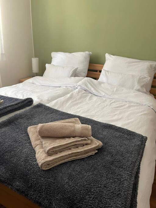 Priestranny 3 Izb. Apartman V Centre S Parkovanim. Banska Bystrica Exterior photo