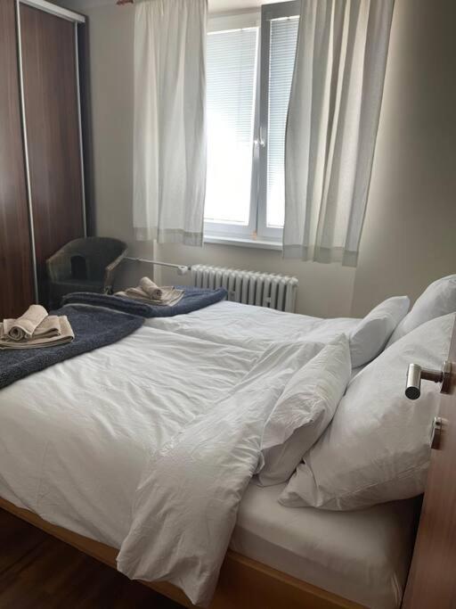 Priestranny 3 Izb. Apartman V Centre S Parkovanim. Banska Bystrica Exterior photo